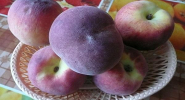 Zdravotní přínosy a poškození broskví, složení, pravidla výběru a vlastnosti